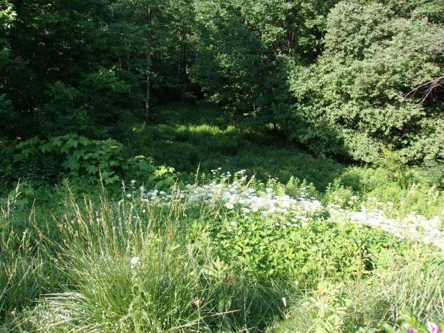 421 Bradley Hill Road Benton, NH 03785 - Photo 20 of 26