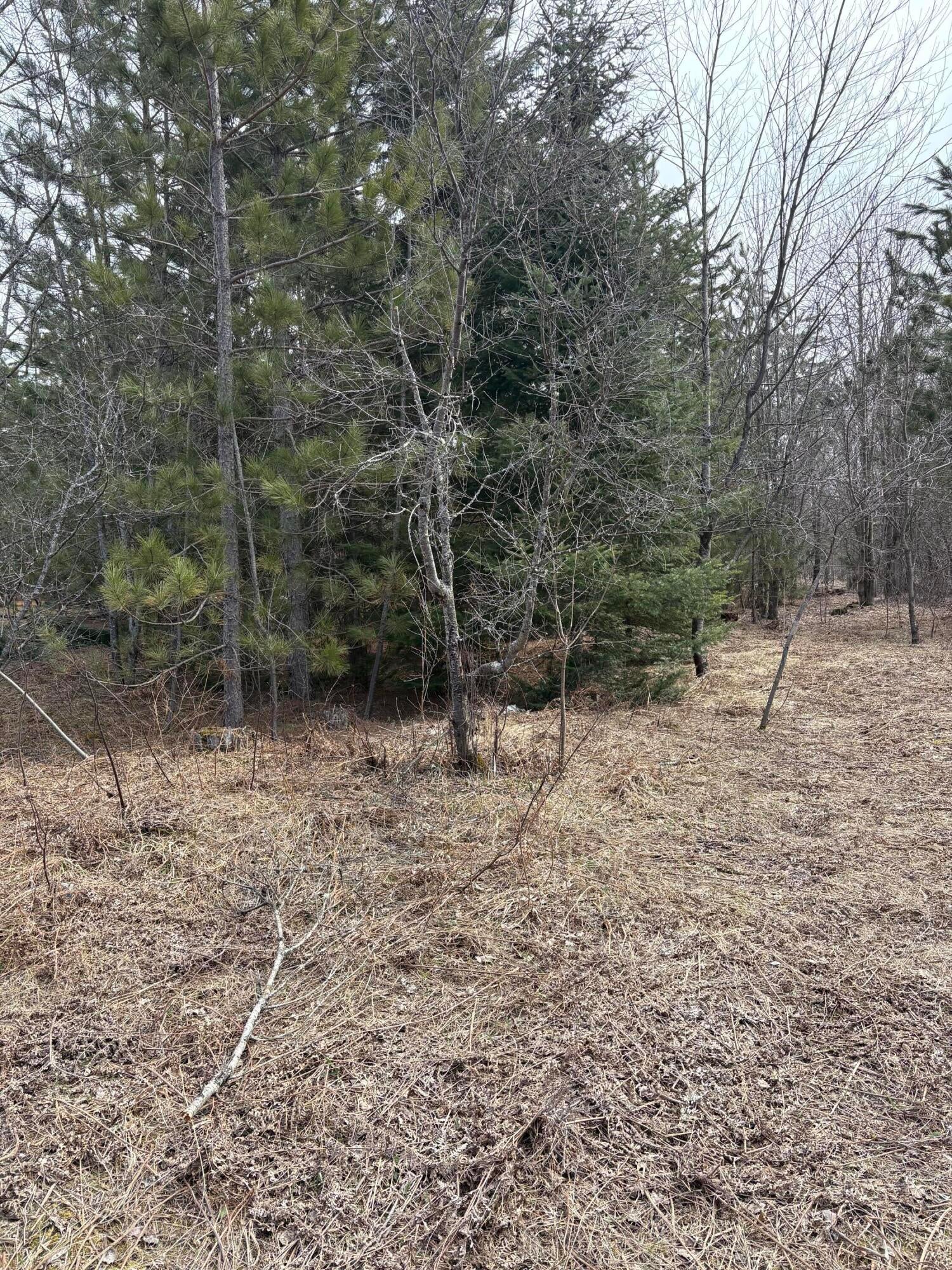 0 Nowak Road Gaylord, MI 49735 - Photo 1 of 8 Gallery Image 1