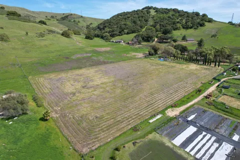 a view of a yard with an outdoor space