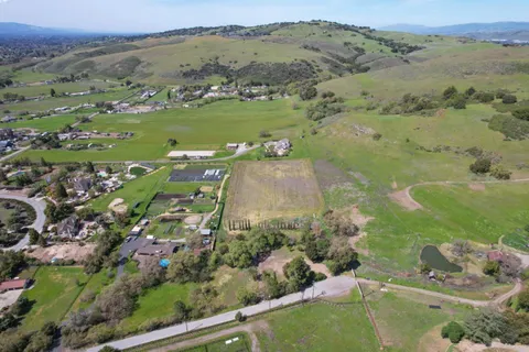 a view of a lush green field with lots of bushes