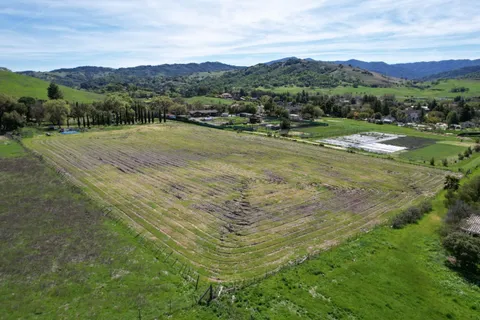 a view of a lush green field with lots of bushes
