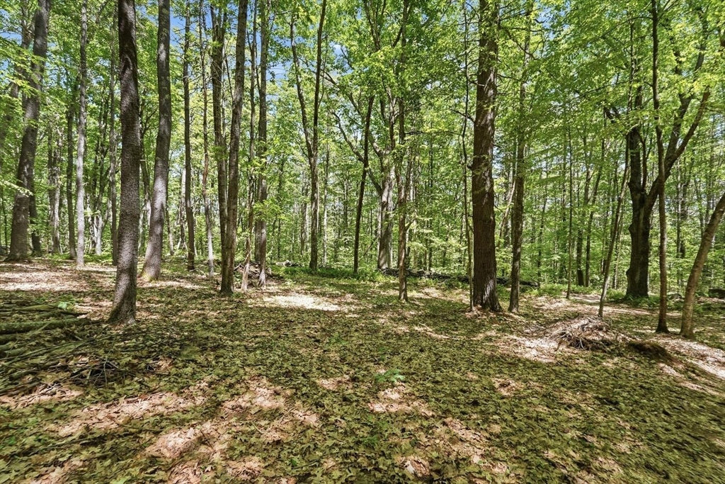 0 Carter Pond Road Petersham, MA 01366 - Photo 10 of 18