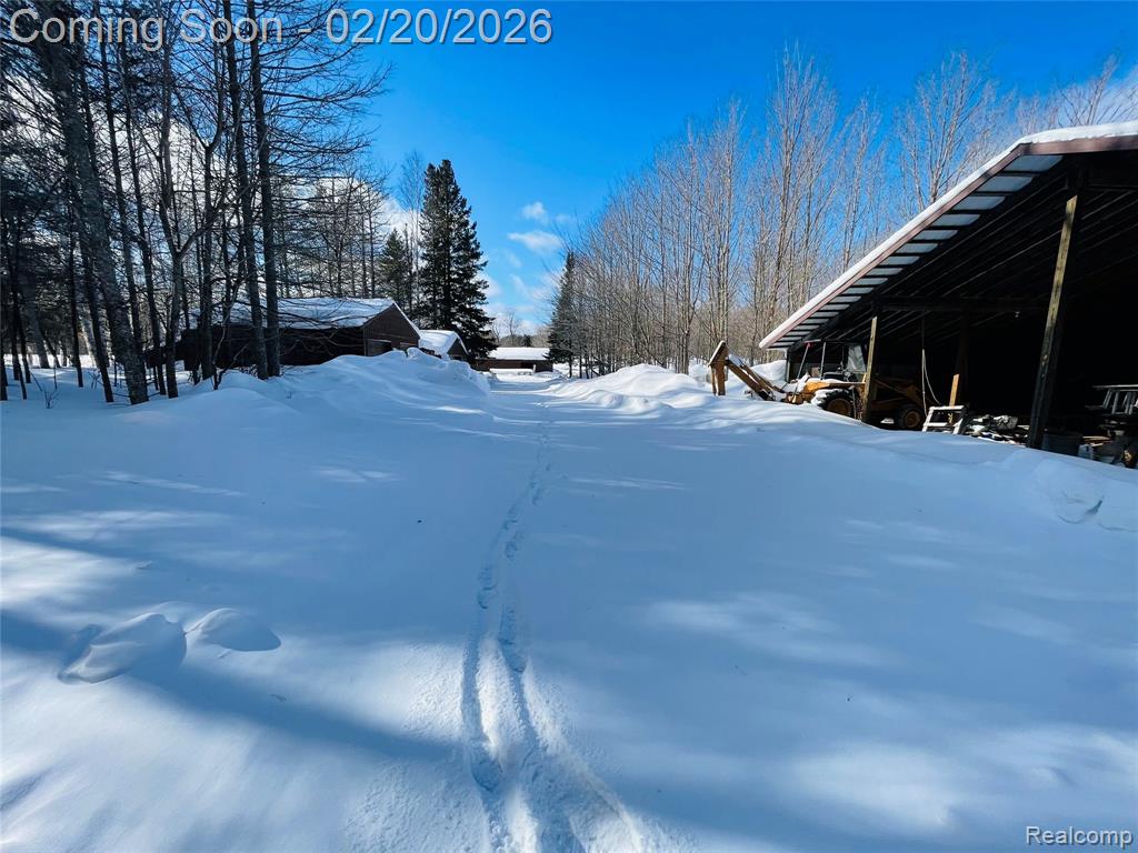 21805 South Wilwin Road Trout Lake, MI 49793 - Photo 33 of 54