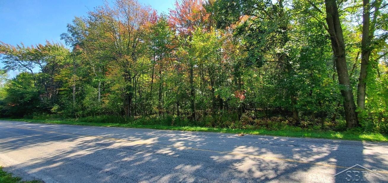 245 West River Road Kawkawlin, MI 48631 - Photo 3 of 8