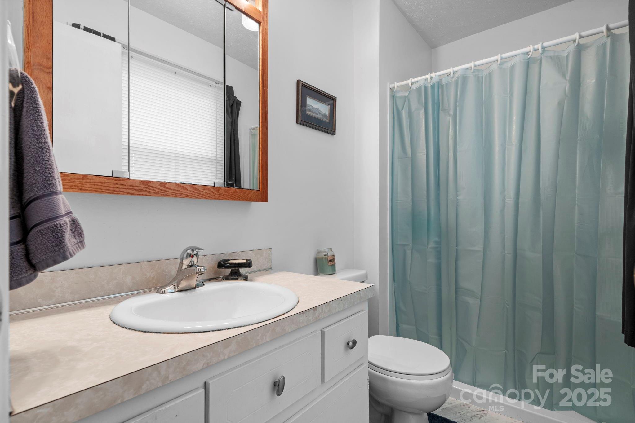 3651 Pea Ridge Road Morganton, NC 28655 - Photo 22 of 43 a bathroom with a sink toilet and a mirror