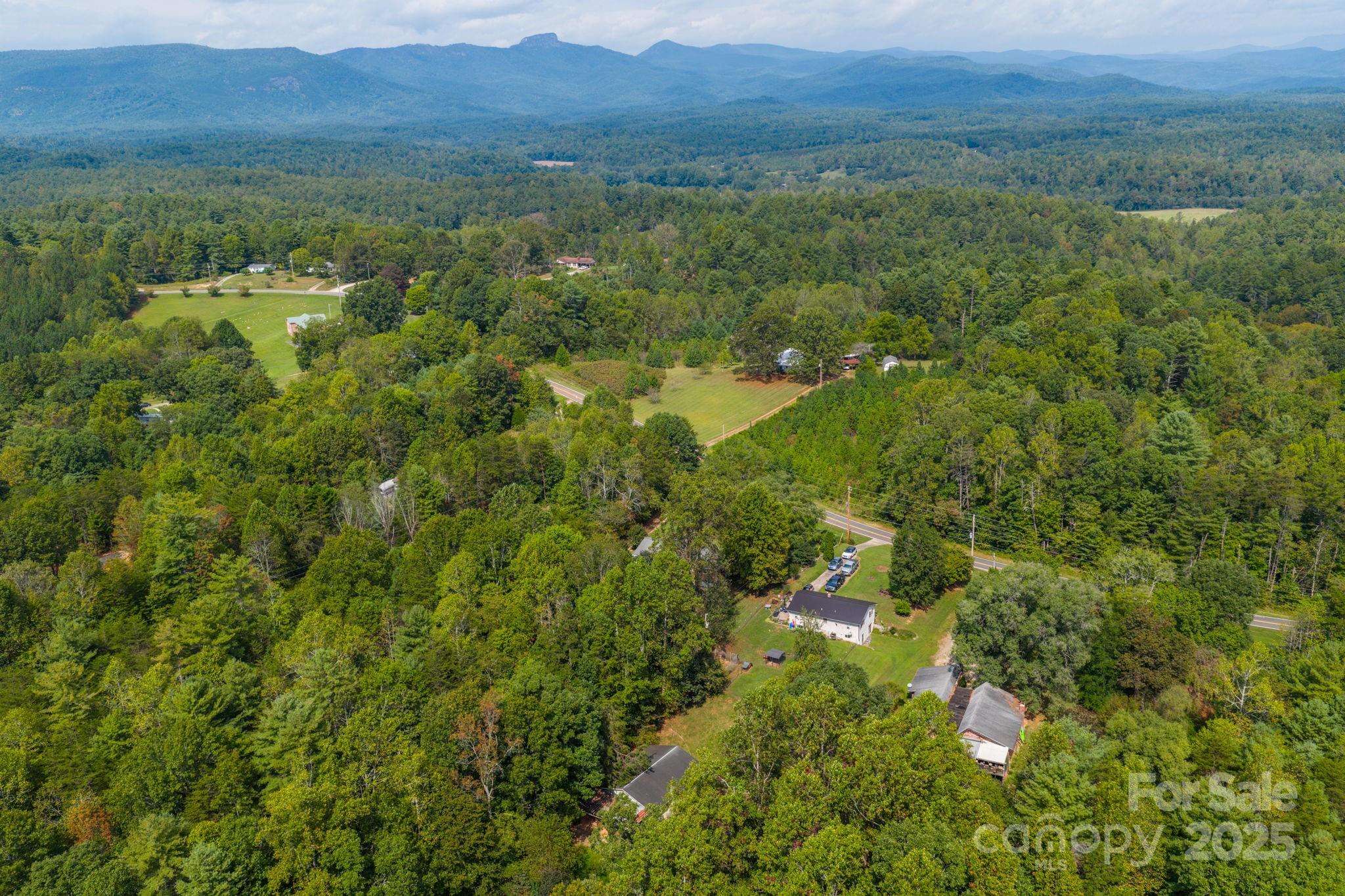 3651 Pea Ridge Road Morganton, NC 28655 - Photo 42 of 43 a view of a lush green forest with trees and some houses