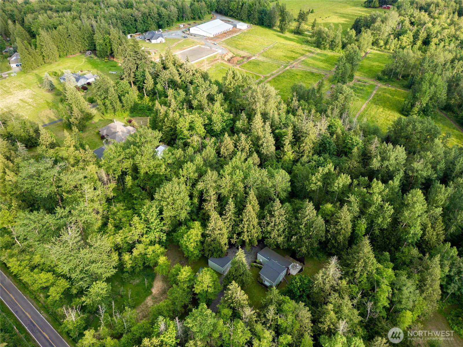1535 Ten Mile Road Everson, WA 98247 - Photo 39 of 40 a view of a yard with plants