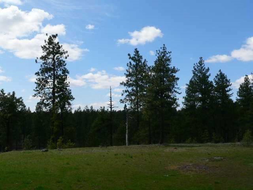 7211 West Rim Lane Spokane, WA 99224 - Photo 8 of 12