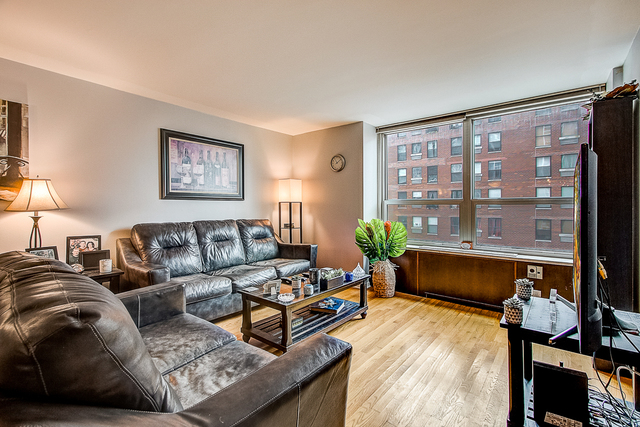 720 West Gordon Terrace, Unit 5B Chicago, IL 60613 - Photo 2 of 20 a living room with furniture and a large window