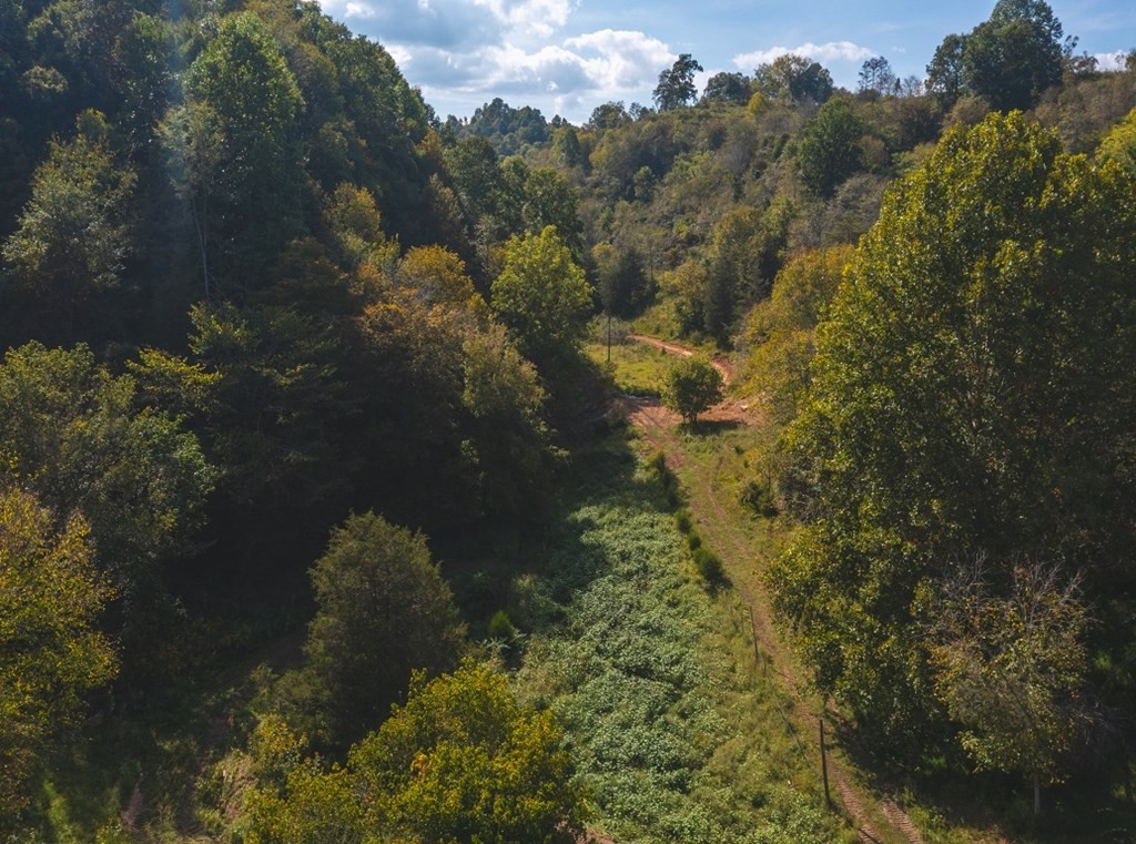 215 Ed Hollow Road Eidson, TN 37731 - Photo 47 of 60 Gallery Image 47