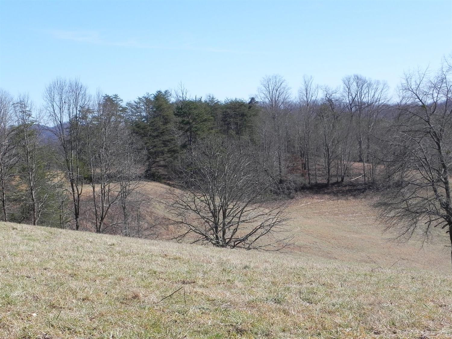 887 Matt Baker Road London, KY 40744 - Photo 45 of 77 Photo 45