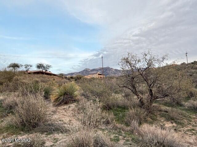 Nine East Rd Tucson Az 85750 Road Tucson, AZ 85739 - Photo 20 of 31 a view of a dry yard with trees