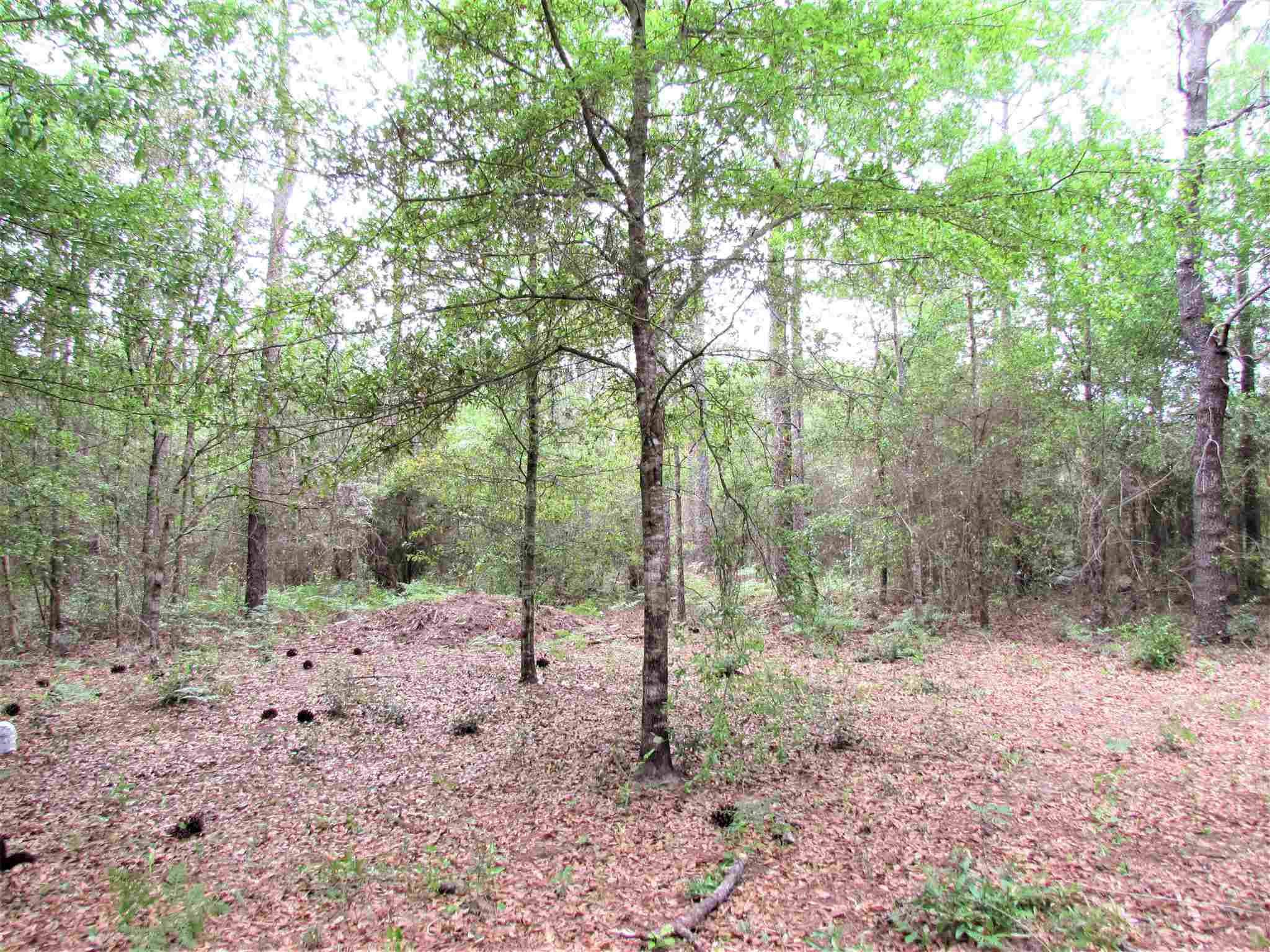 11700 Outlook Road Milton, FL 32583 - Photo 1 of 14 Gallery Image 1