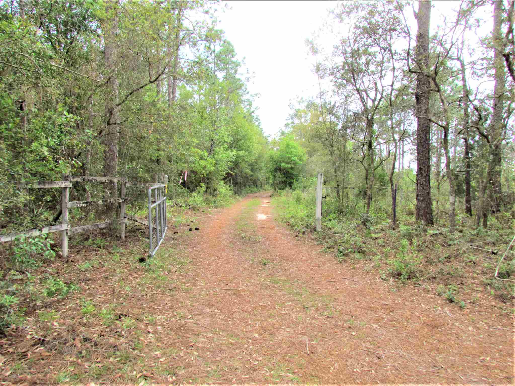 11700 Outlook Road Milton, FL 32583 - Photo 3 of 14 Gallery Image 3