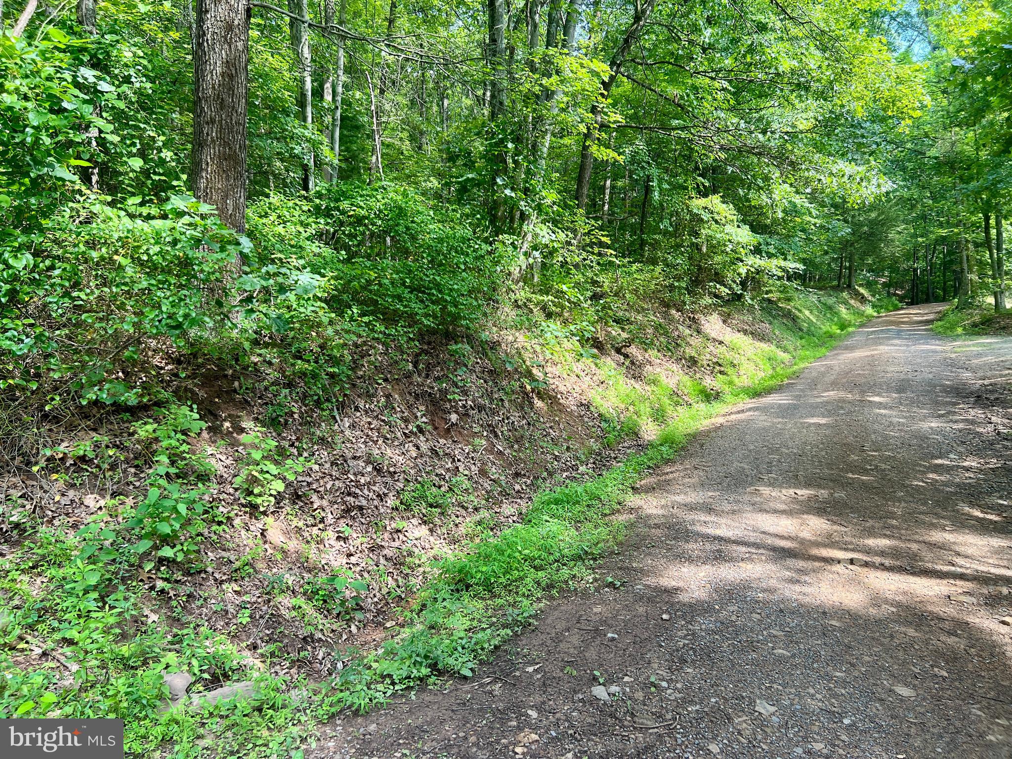 0 Brumbaugh Cemetary Road Saxton, PA 16678 - Photo 13 of 13