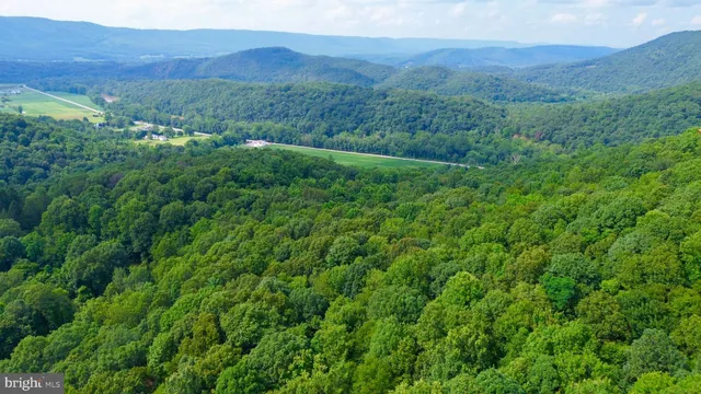 a view of a lush green hillside and a houses