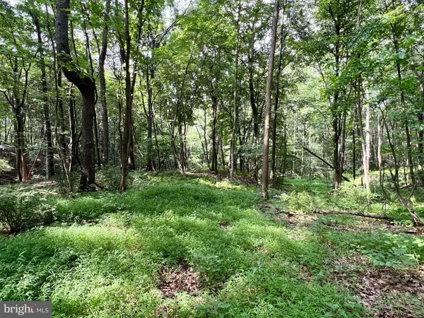 a view of outdoor space and green space