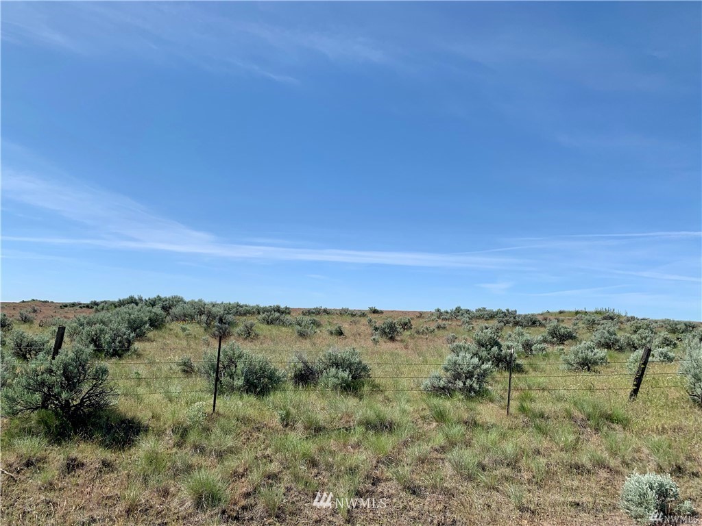 0 Scheibner Road Wilbur, WA 99185 - Photo 11 of 18 Gallery Image 11