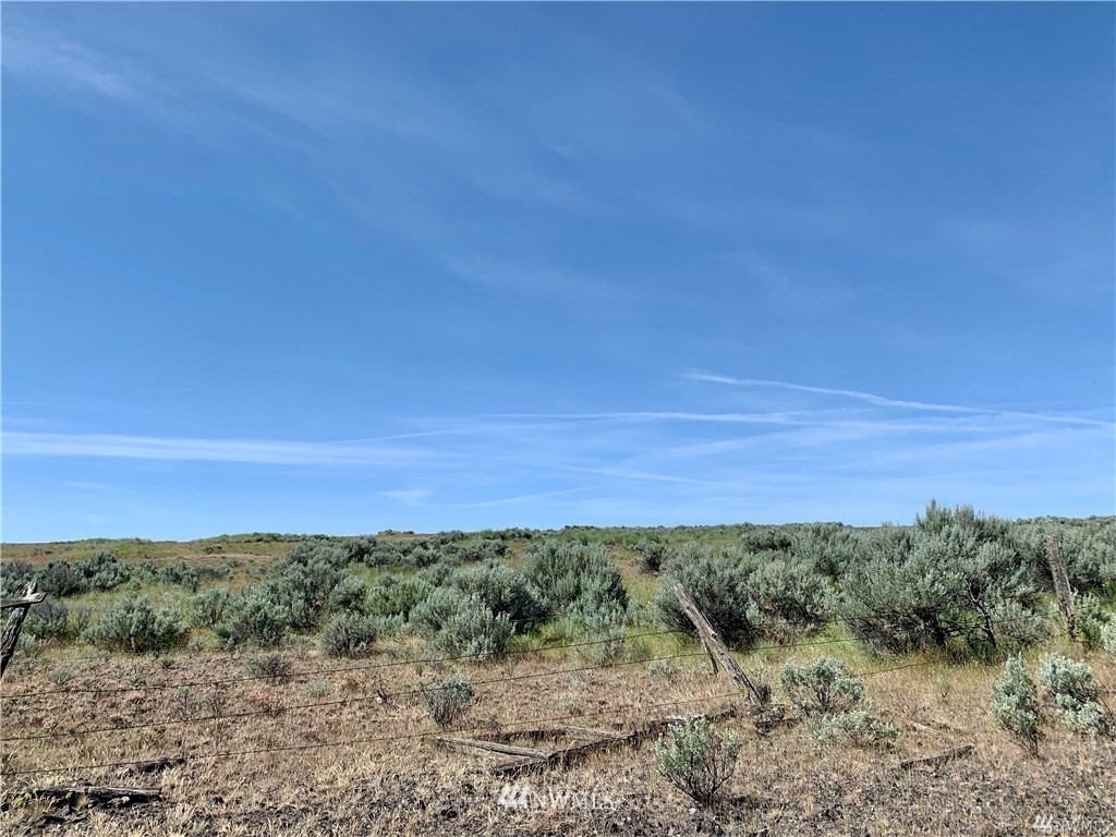 0 Scheibner Road Wilbur, WA 99185 - Photo 12 of 18 Gallery Image 12