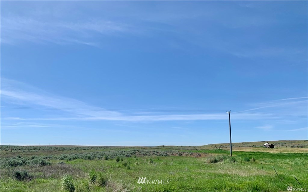 0 Scheibner Road Wilbur, WA 99185 - Photo 14 of 18 Gallery Image 14