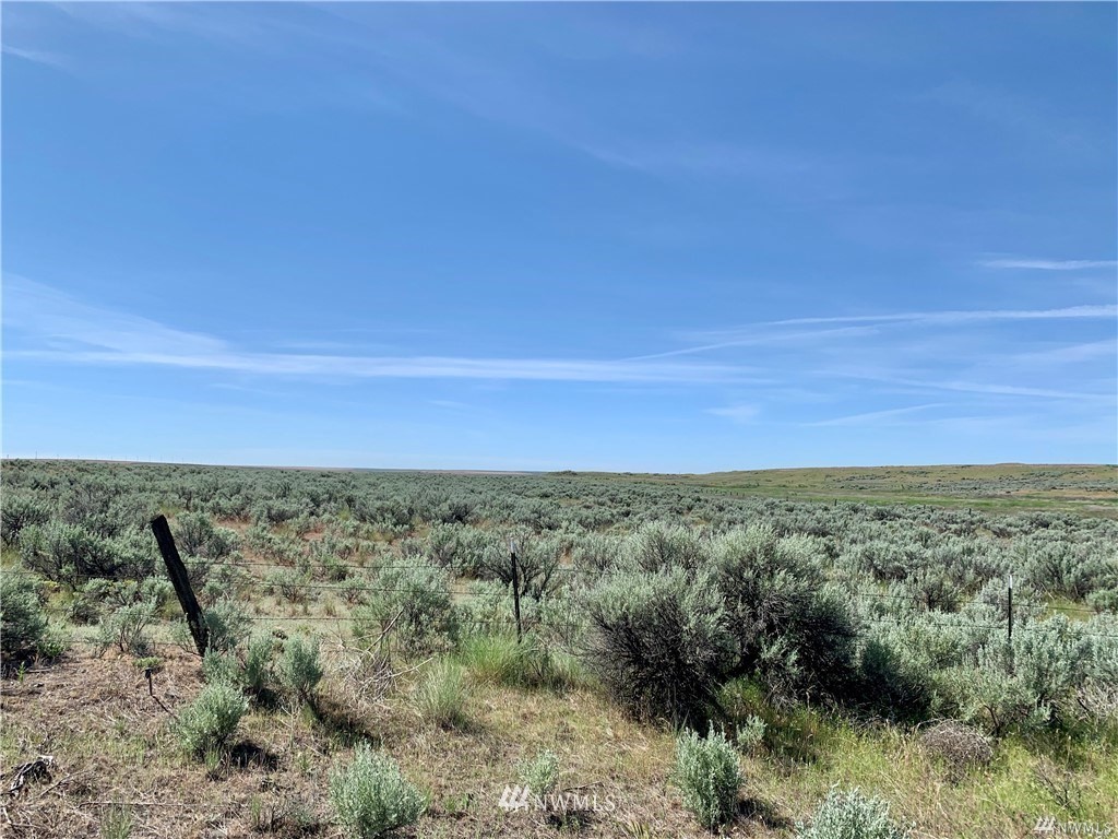 0 Scheibner Road Wilbur, WA 99185 - Photo 16 of 18 Gallery Image 16