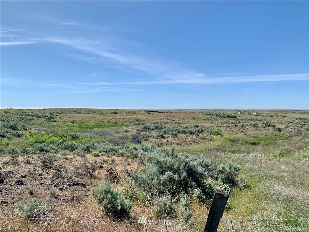 0 Scheibner Road Wilbur, WA 99185 - Photo 3 of 18 Gallery Image 3