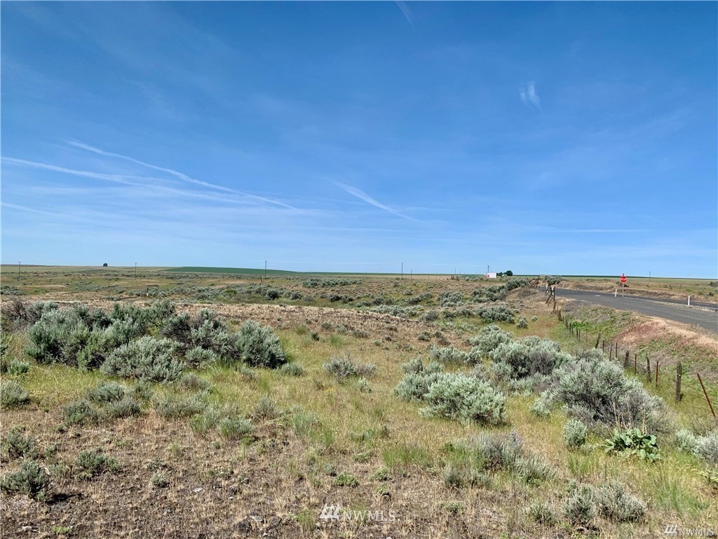 0 Scheibner Road Wilbur, WA 99185 - Photo 5 of 18 Gallery Image 5