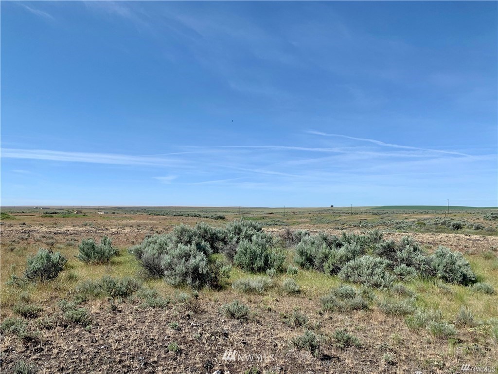 0 Scheibner Road Wilbur, WA 99185 - Photo 6 of 18 Gallery Image 6