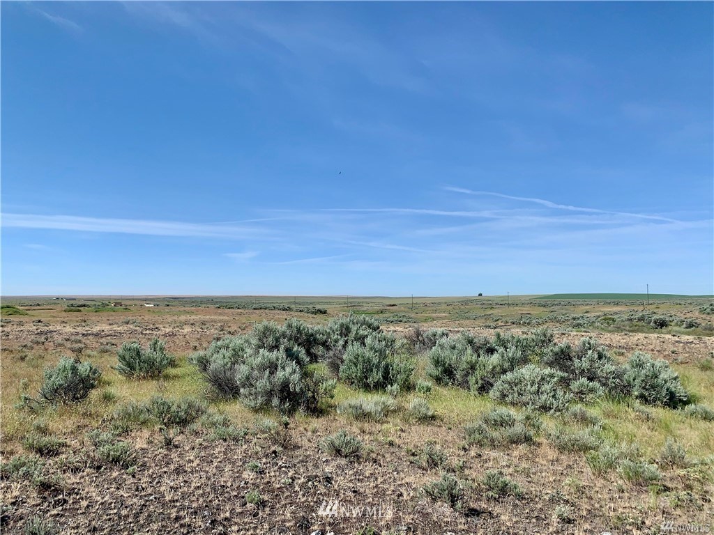 0 Scheibner Road Wilbur, WA 99185 - Photo 7 of 18 Gallery Image 7