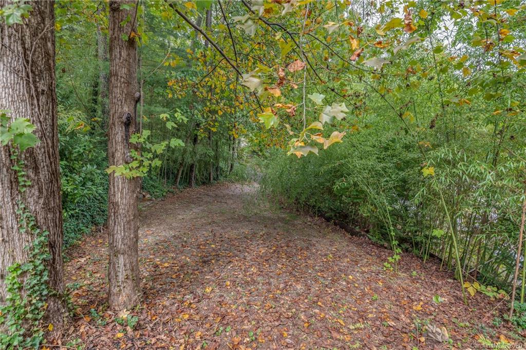 199 Chestnut Street Tryon, NC 28782 - Photo 26 of 29 a view of a forest with trees in the background