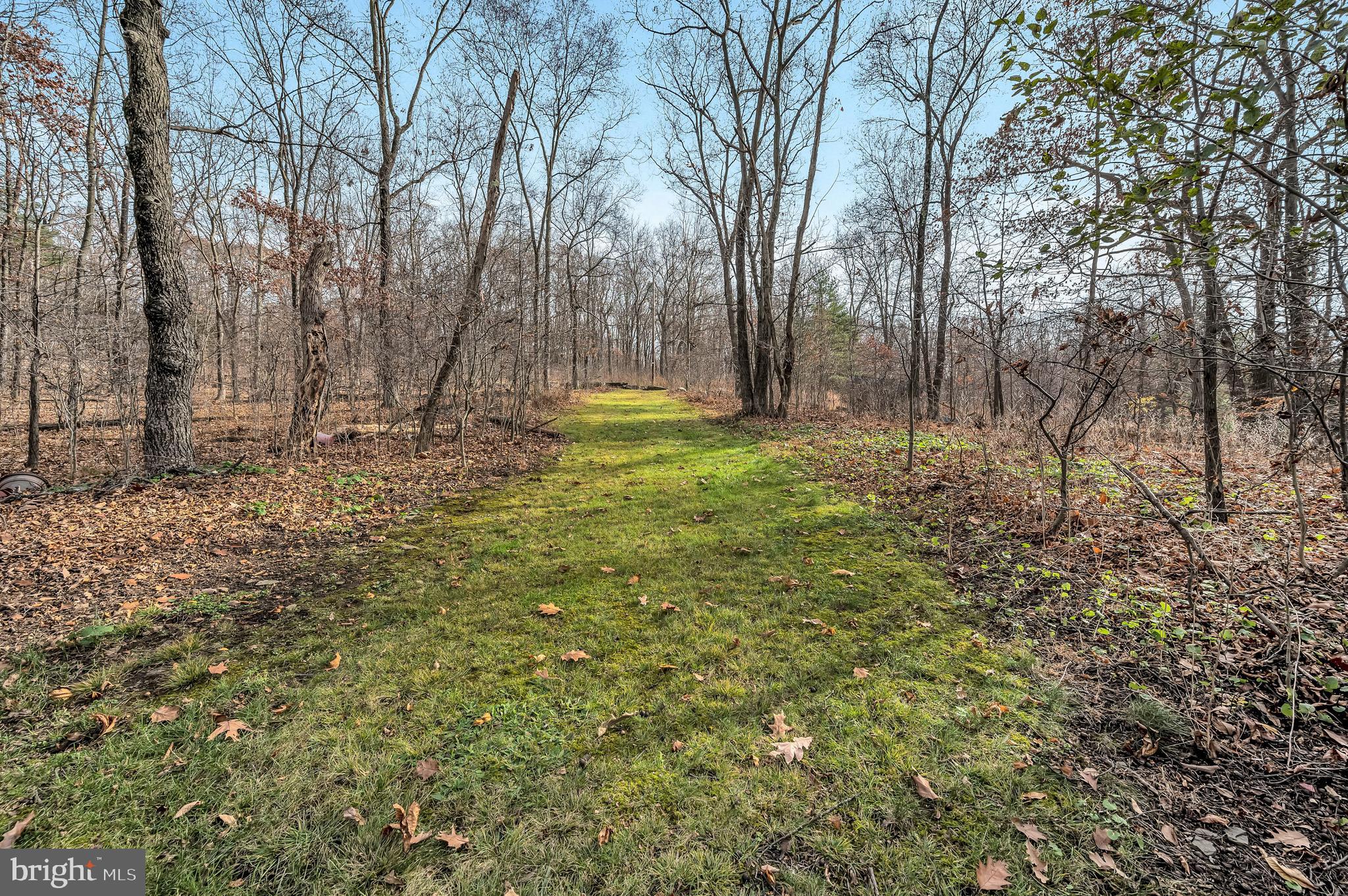 Ziegler Road Pittston, PA 18640 - Photo 2 of 5 a view of backyard with tree