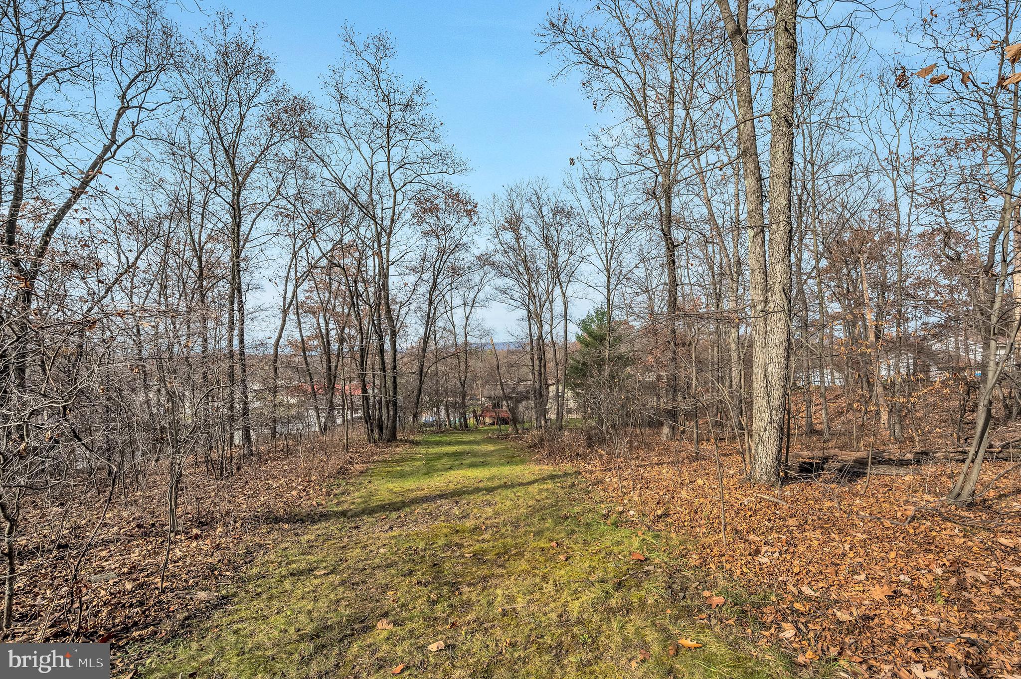 Ziegler Road Pittston, PA 18640 - Photo 3 of 5 a view of outdoor space with trees