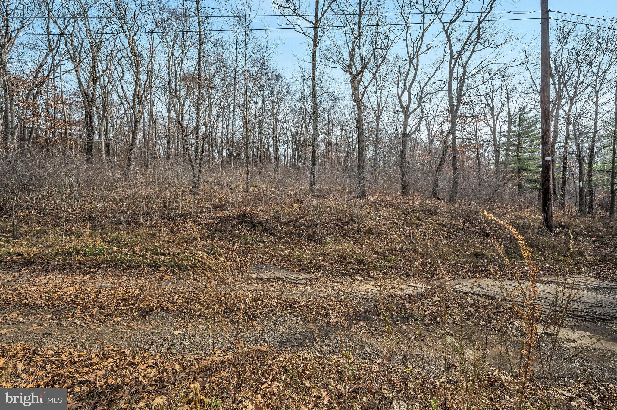 Ziegler Road Pittston, PA 18640 - Photo 4 of 5 a view of a yard with large trees