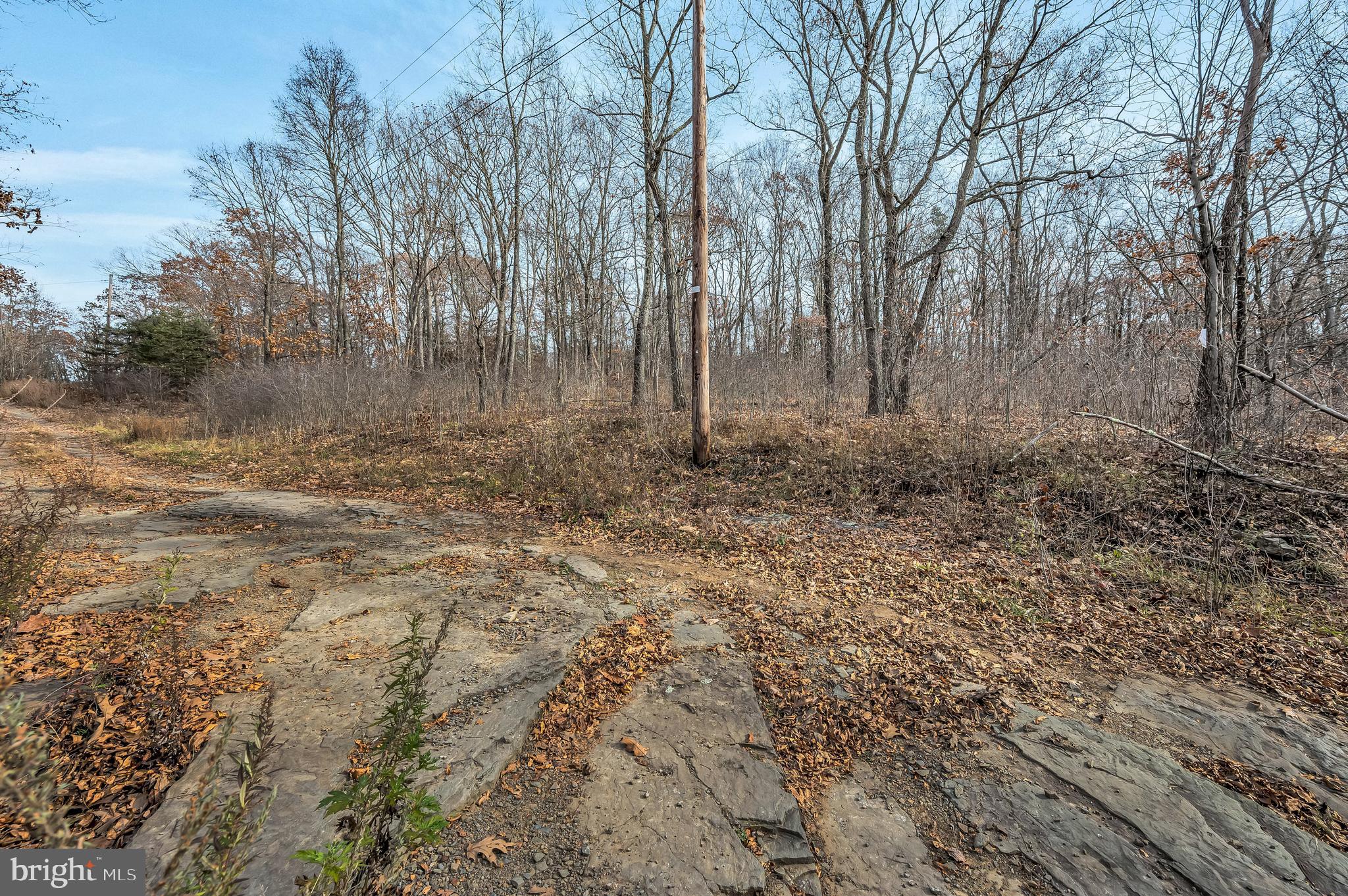 Ziegler Road Pittston, PA 18640 - Photo 5 of 5 a view of a yard with trees