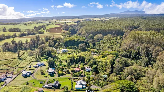 $1,000,000 | 39-3343 Hana Ika Luna Camp Road, Ookala, HI 96774