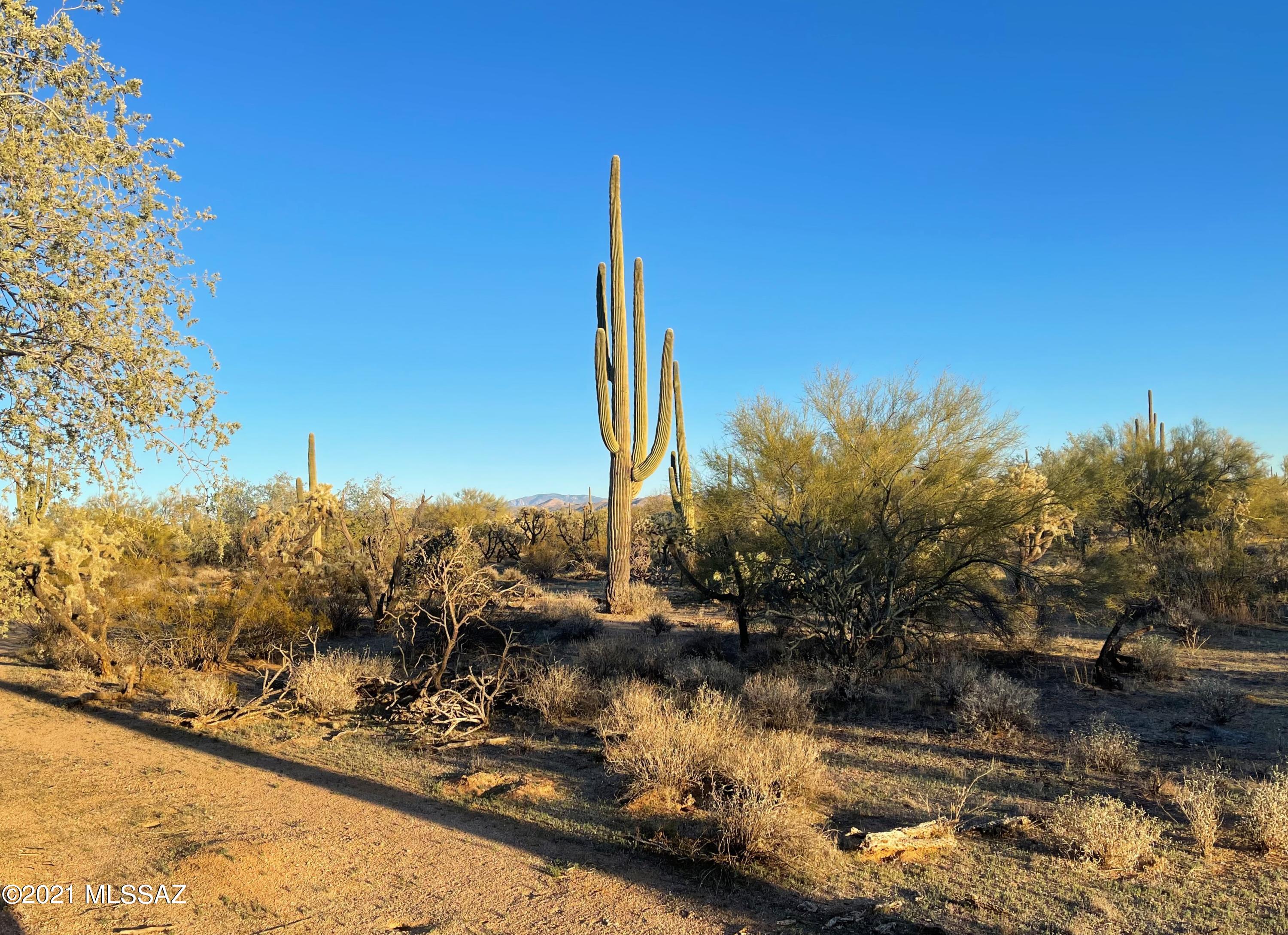 South Cattle Tank Road, Unit 20 Marana, AZ 85658 - Photo 17 of 20