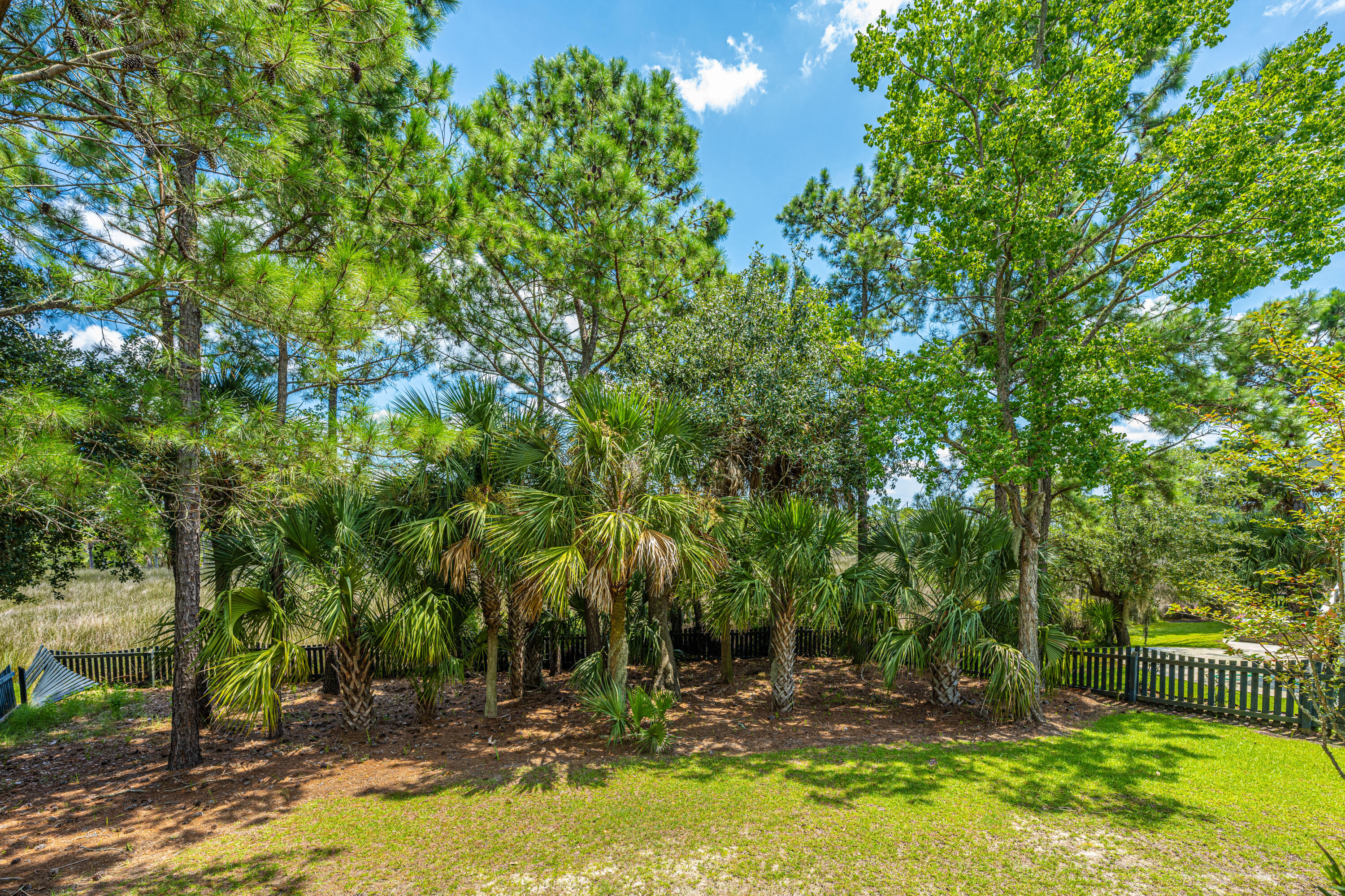 2145 Sandy Point Lane Mount Pleasant, SC 29466 - Photo 40 of 45 2145SandyPointLn045