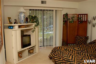 1575 Creekside Road, Unit A19 Whitehall, PA 18052 - Photo 5 of 6 Master bedroom with walk-in closet & leading to 2nd patio