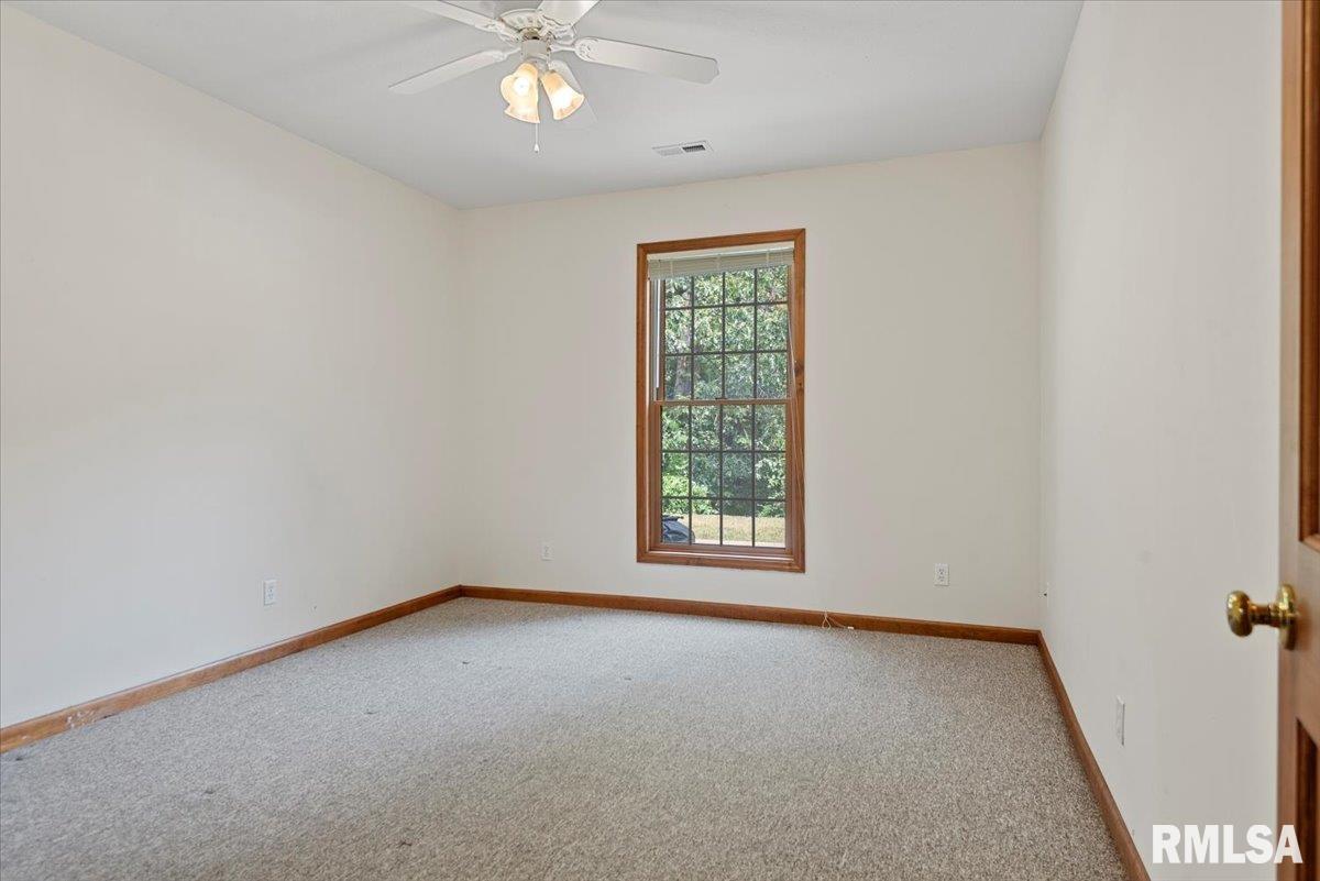 33 Woodland Trail Rochester, IL 62563 - Photo 61 of 75