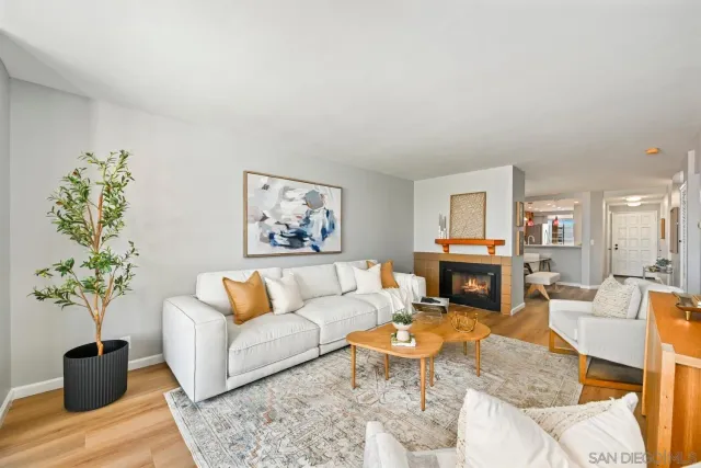 a living room with furniture potted plant and a fireplace