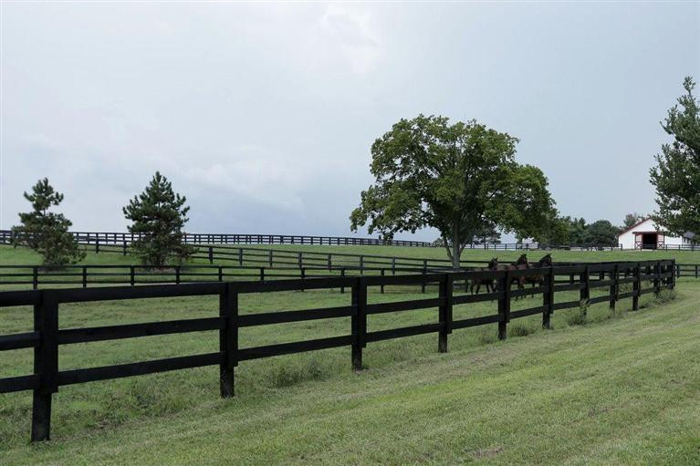 284 Escondida Road Paris, KY 40361 - Photo 17 of 22 Photo 17