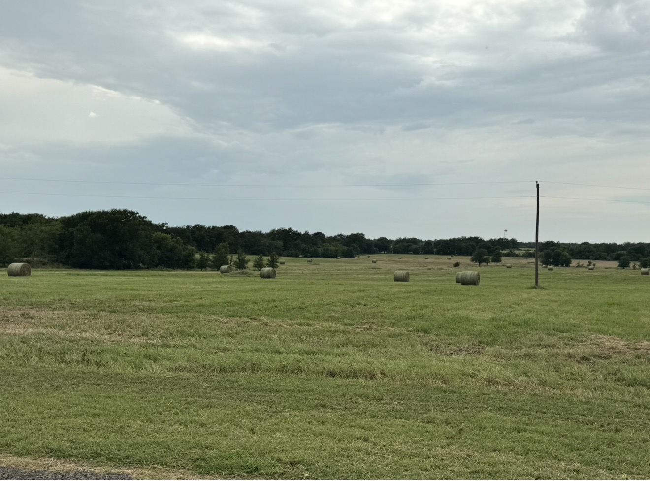 16084 Wood Road Holland, TX 76534 - Photo 1 of 2 Rolling green pastures extend toward a distant tree line under soft overcast skies.