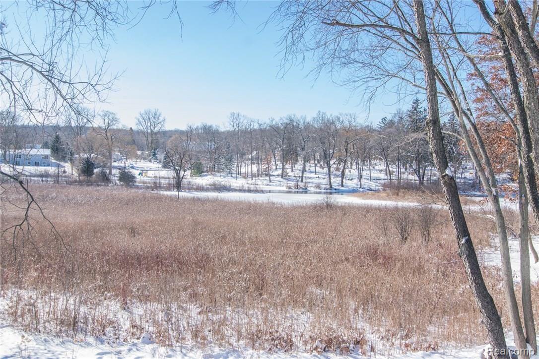 1054 Riverside Street Milford, MI 48381 - Photo 53 of 63 DSC_2119.jpg