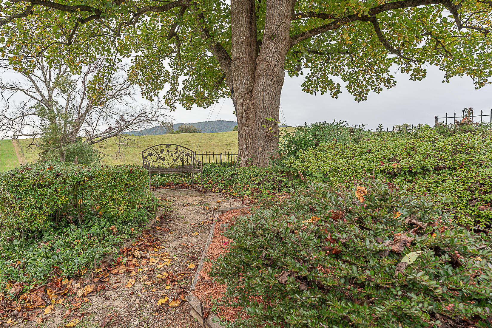 2487 Frontage Road Buchanan, VA 24066 - Photo 56 of 60 56 Peaceful