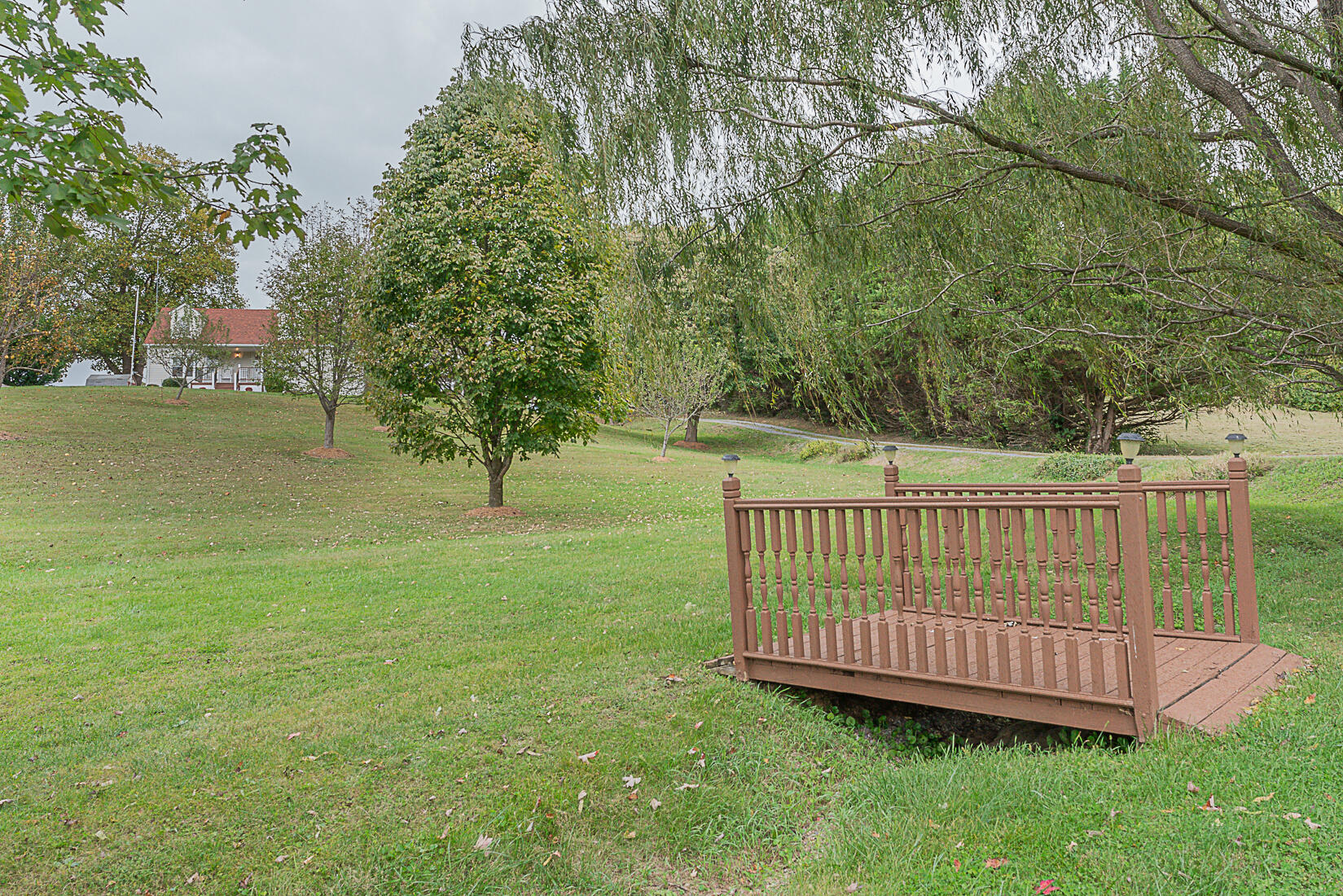 2487 Frontage Road Buchanan, VA 24066 - Photo 58 of 60 58 Ornamental