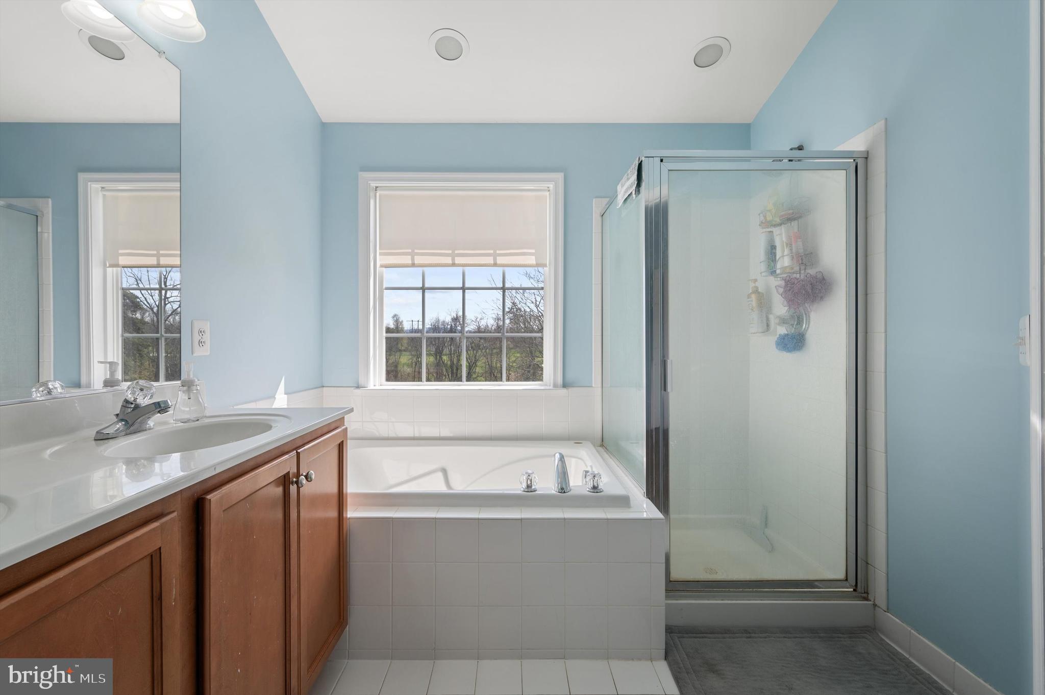 15 Driver Square Front Royal, VA 22630 - Photo 19 of 45 a bathroom with a granite countertop sink mirror and a bathtub