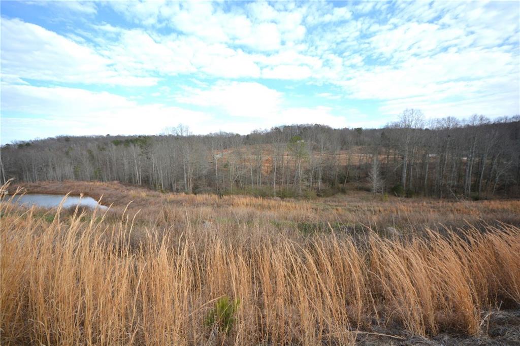 1450 Sunny Valley Lane Braselton, GA 30517 - Photo 7 of 45