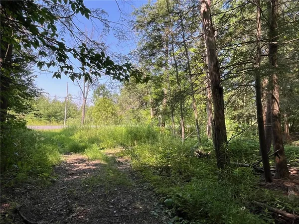 $22,900 | Undisclosed Address, Arcade, NY 14009