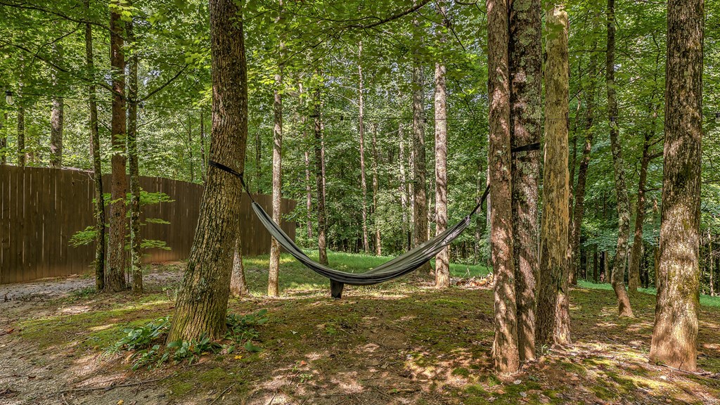 373 Scrougetown Road Ellijay, GA 30536 - Photo 17 of 76