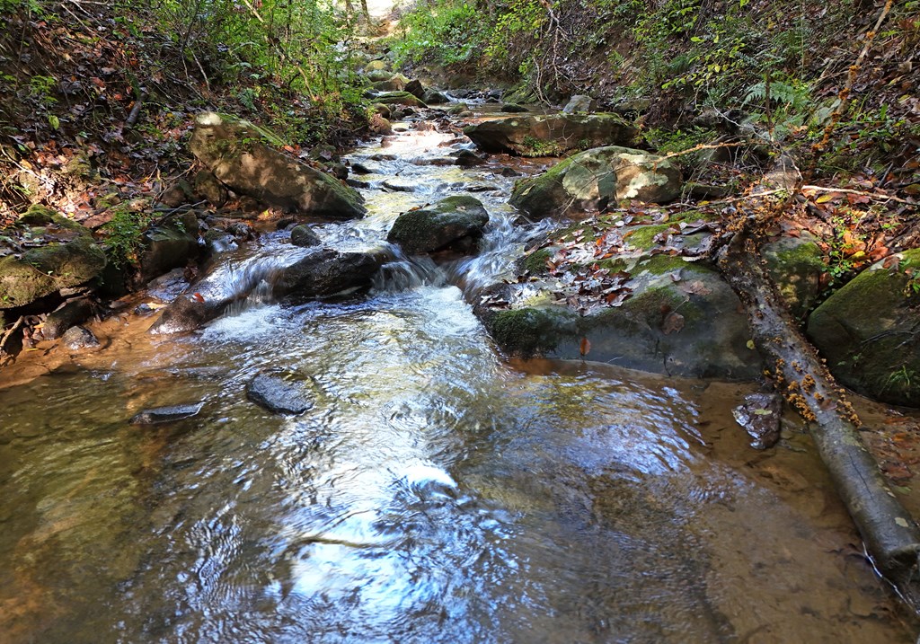 373 Scrougetown Road Ellijay, GA 30536 - Photo 2 of 76